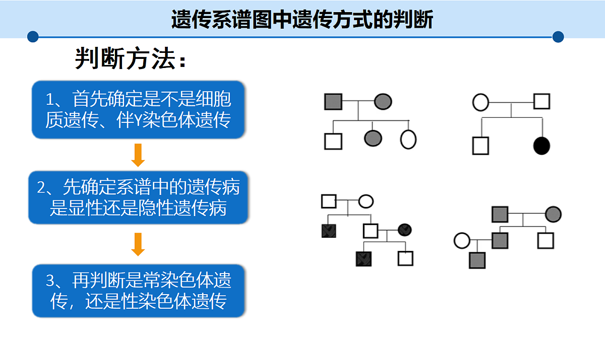 18205996第4页