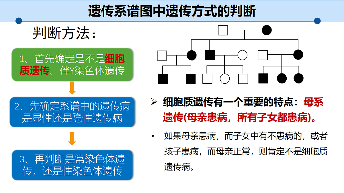 18205996第5页