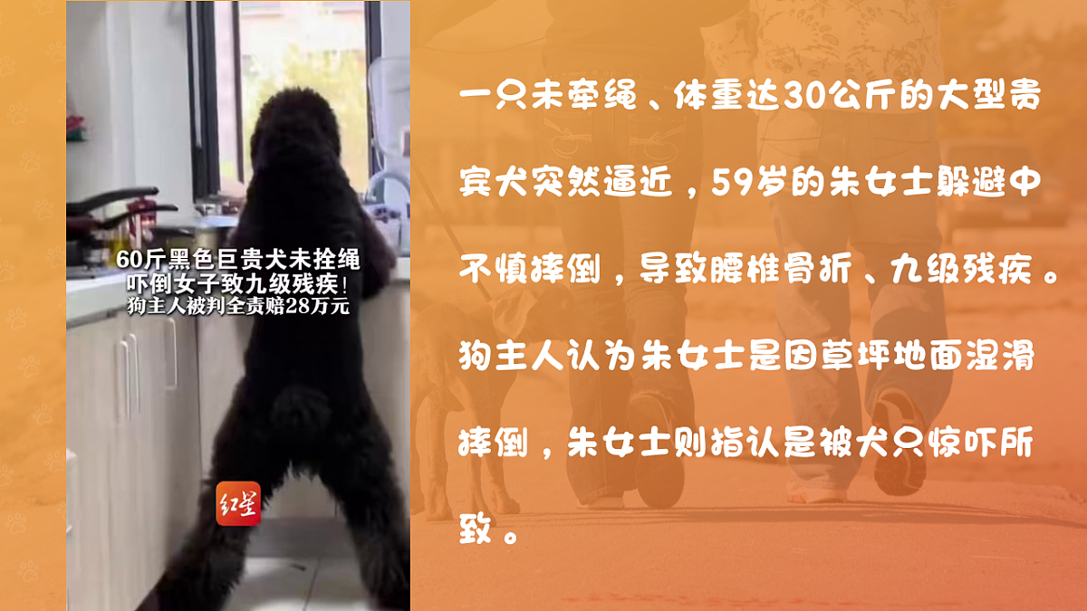 18206277第1页