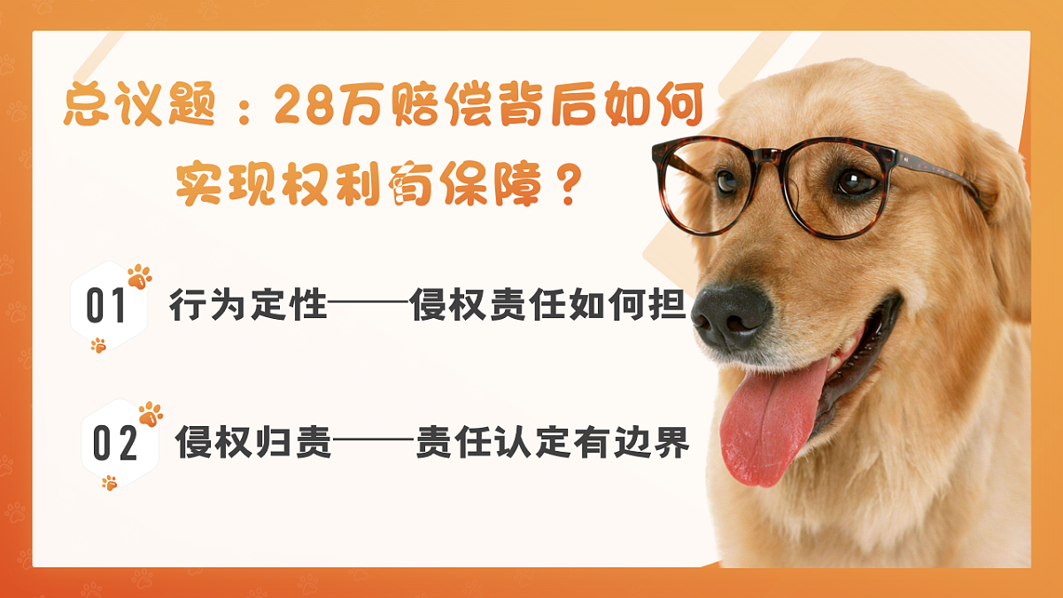 18206277第3页