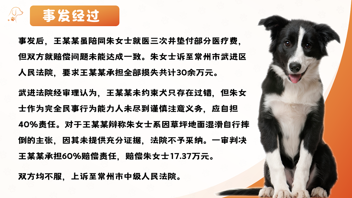 18206277第6页