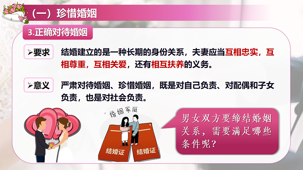 18206283第7页
