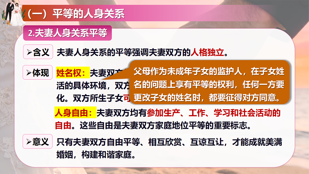 18206285第7页