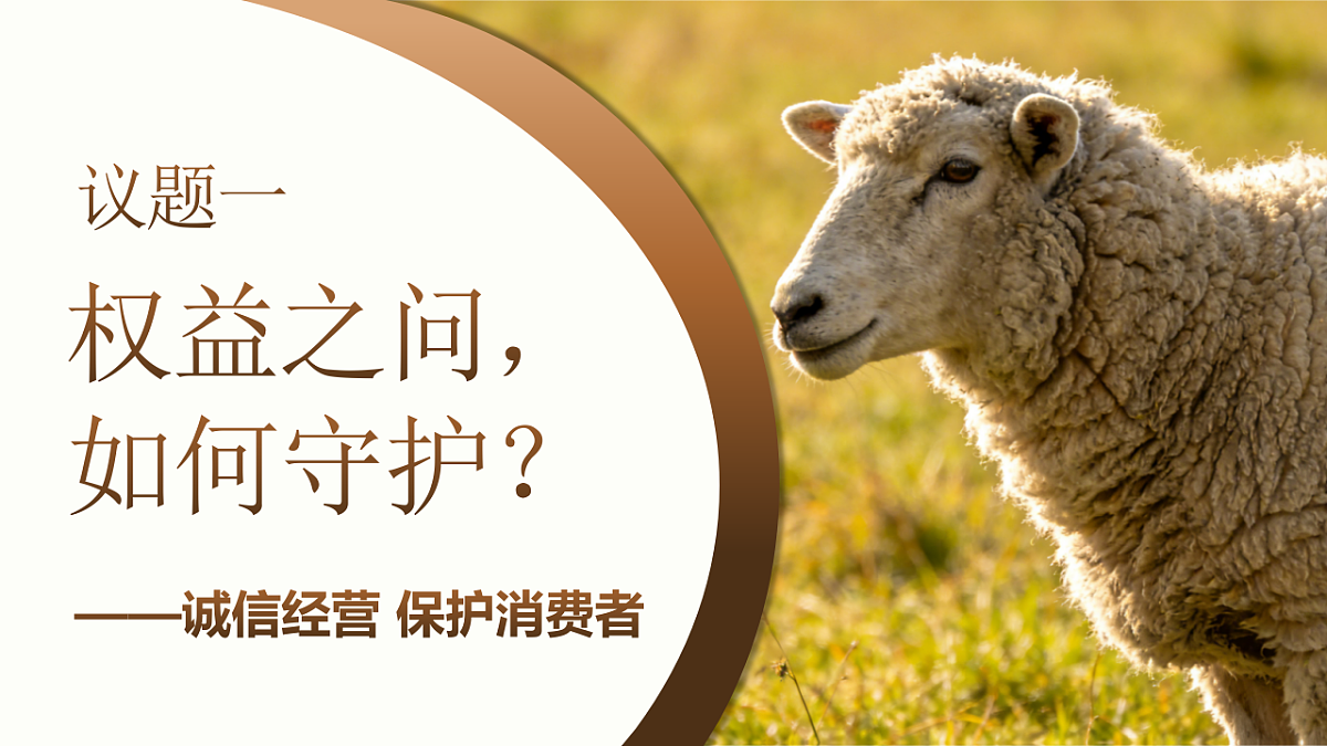 18206292第2页
