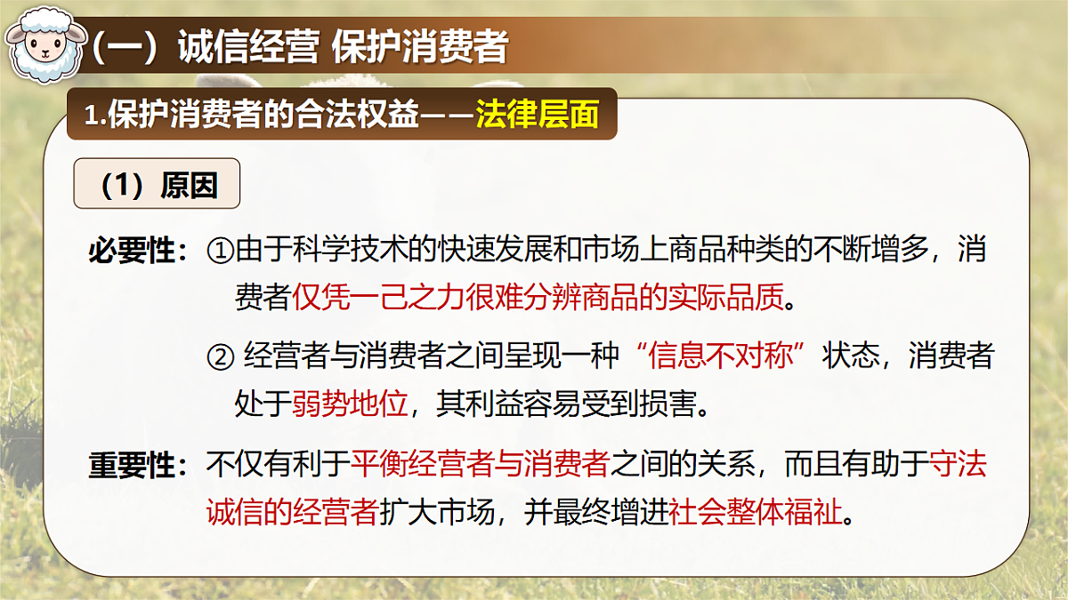 18206292第6页