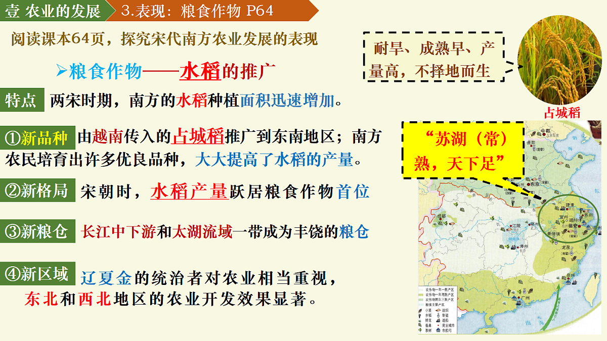 18206444第8页
