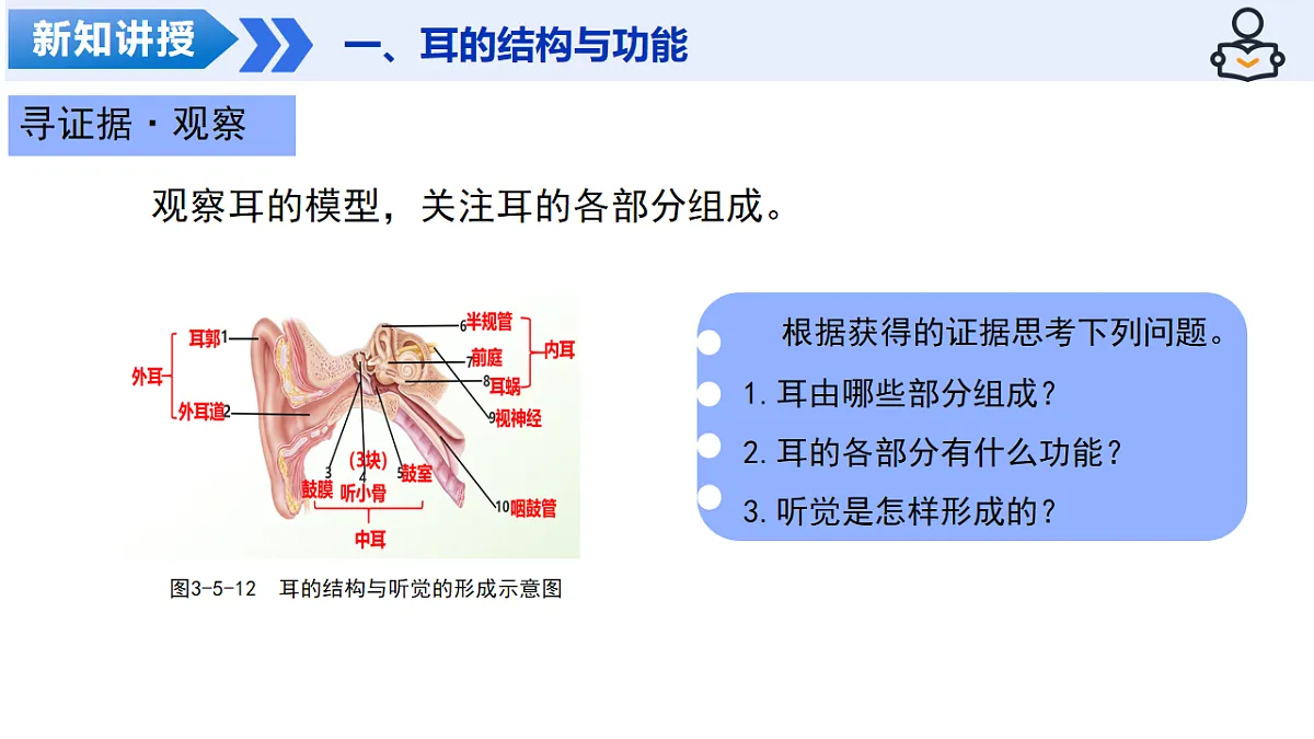 18206447第5页