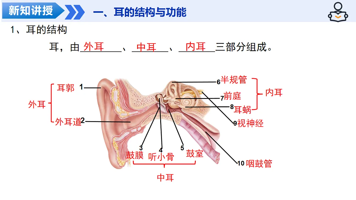 18206447第6页
