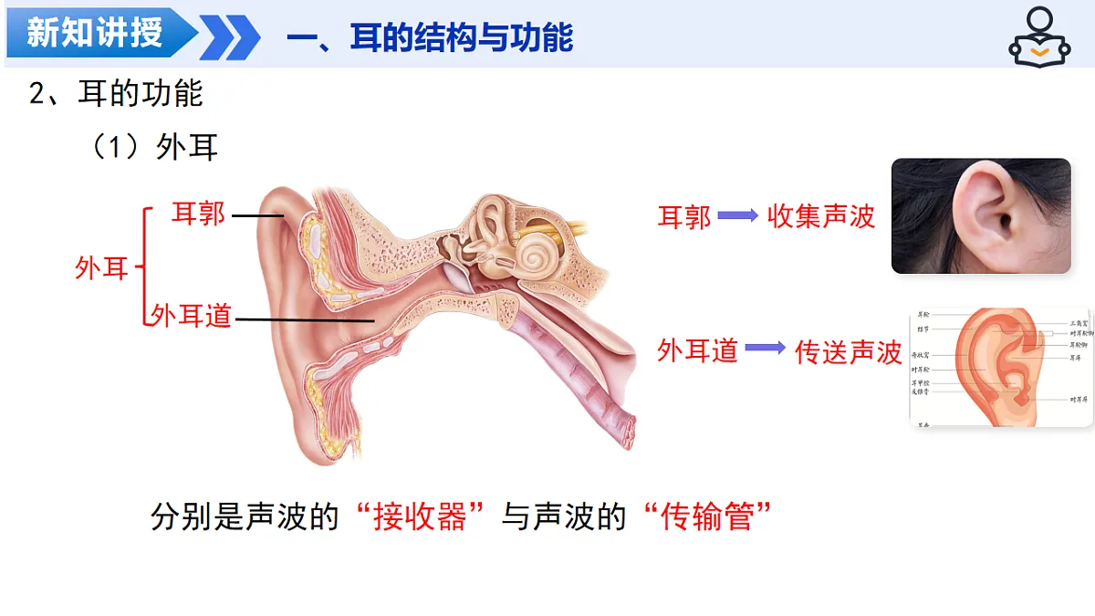18206447第7页