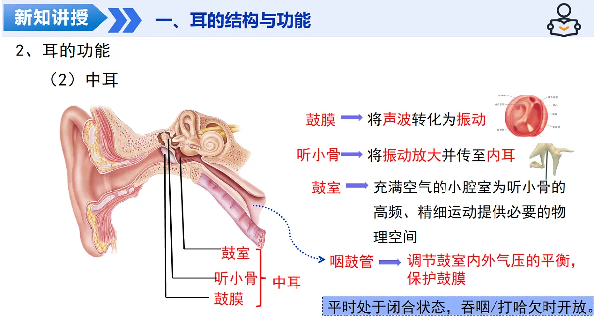 18206447第8页