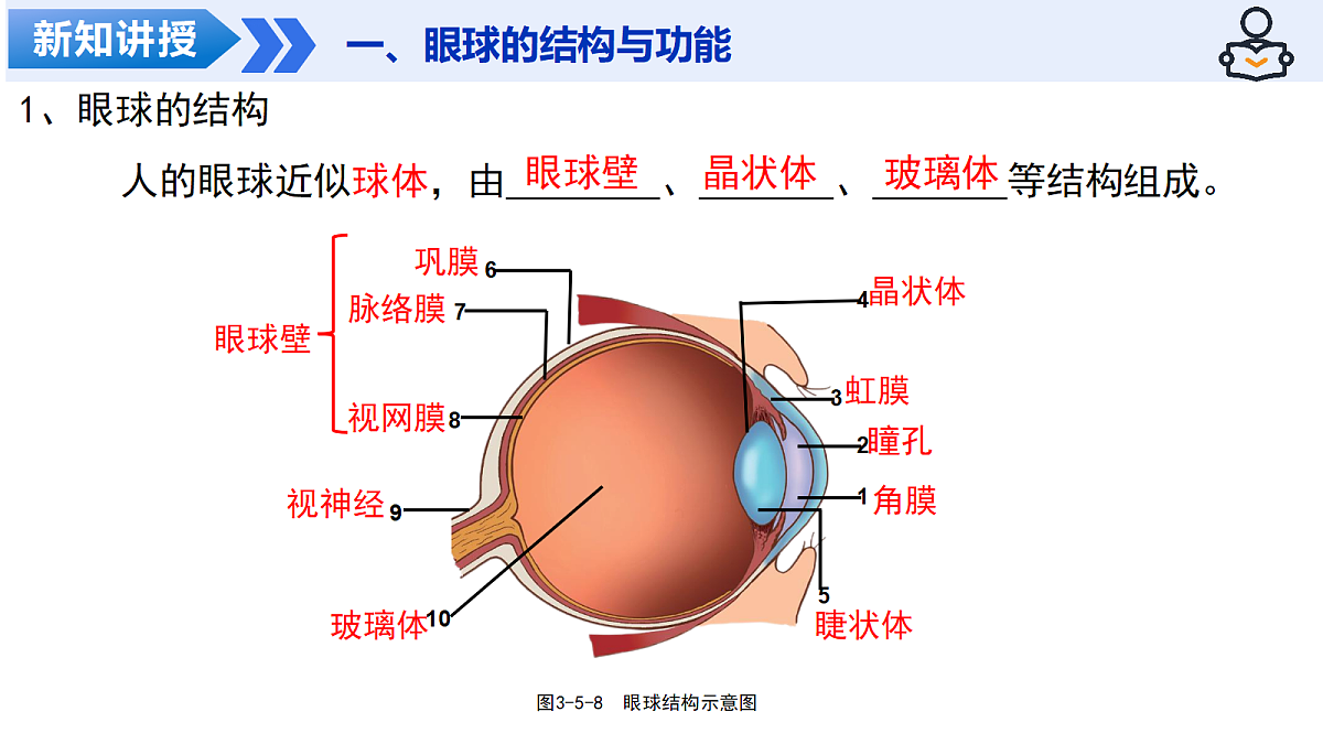 18206448第8页