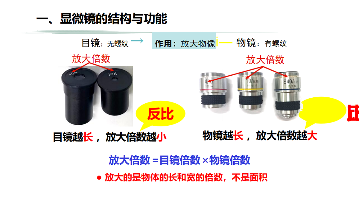 18206496第5页