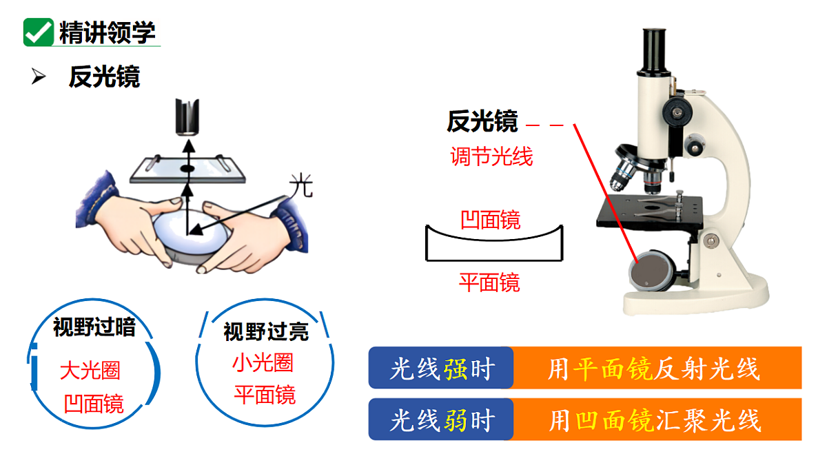 18206496第8页