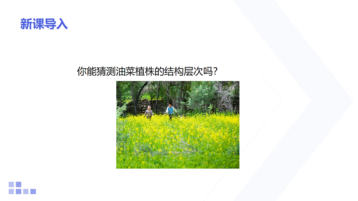 18206498第3页