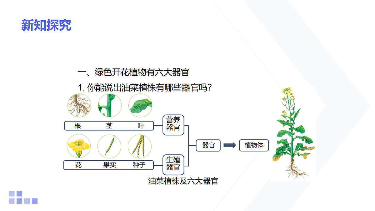 18206498第4页