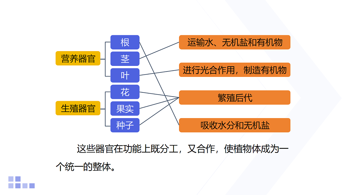 18206498第5页