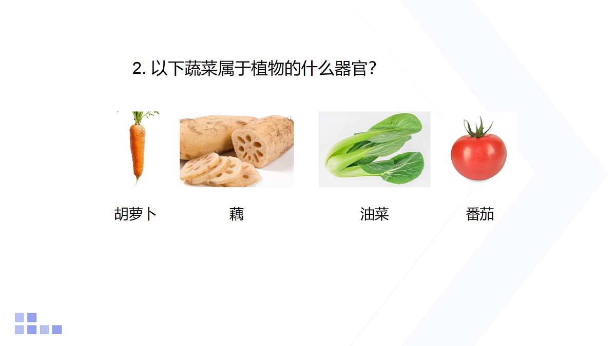 18206498第6页