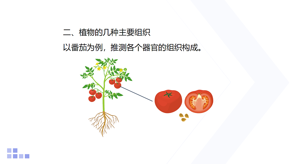 18206498第7页