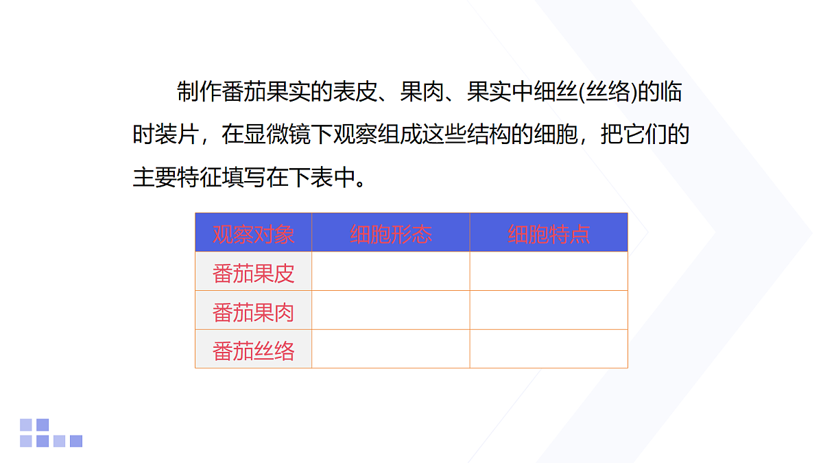 18206498第8页