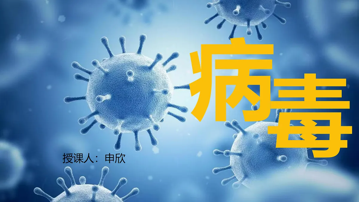 18206502第1页
