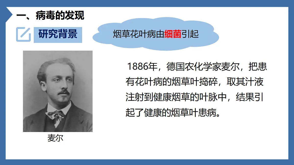 18206502第3页