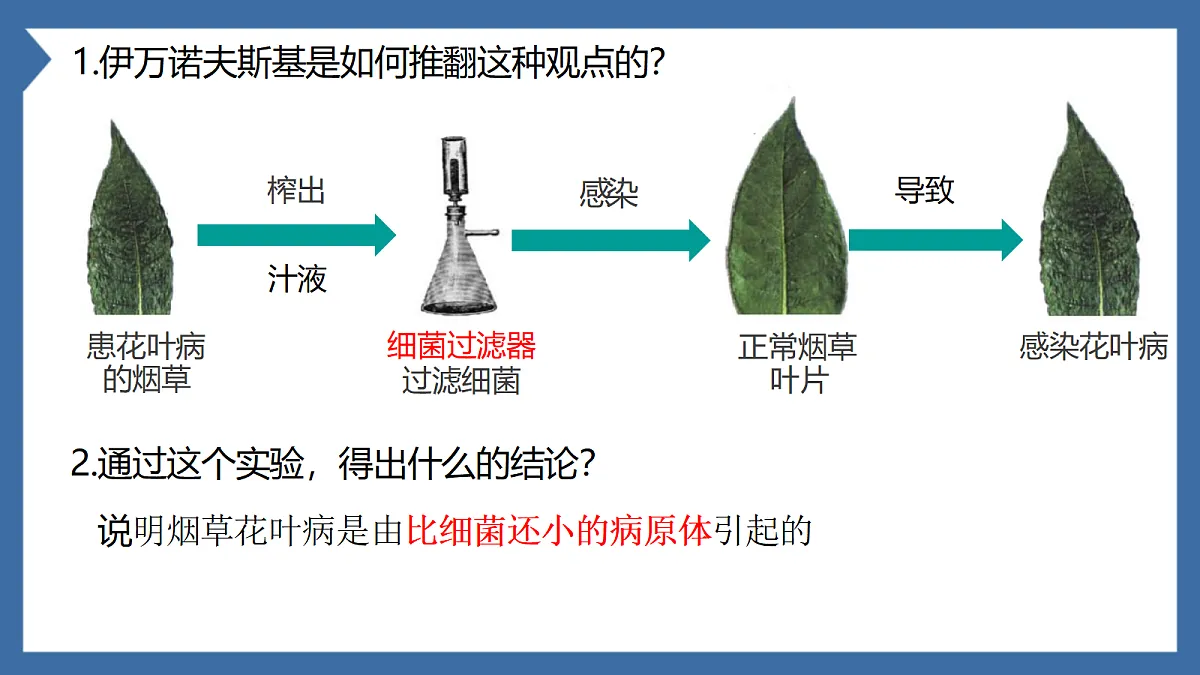 18206502第5页