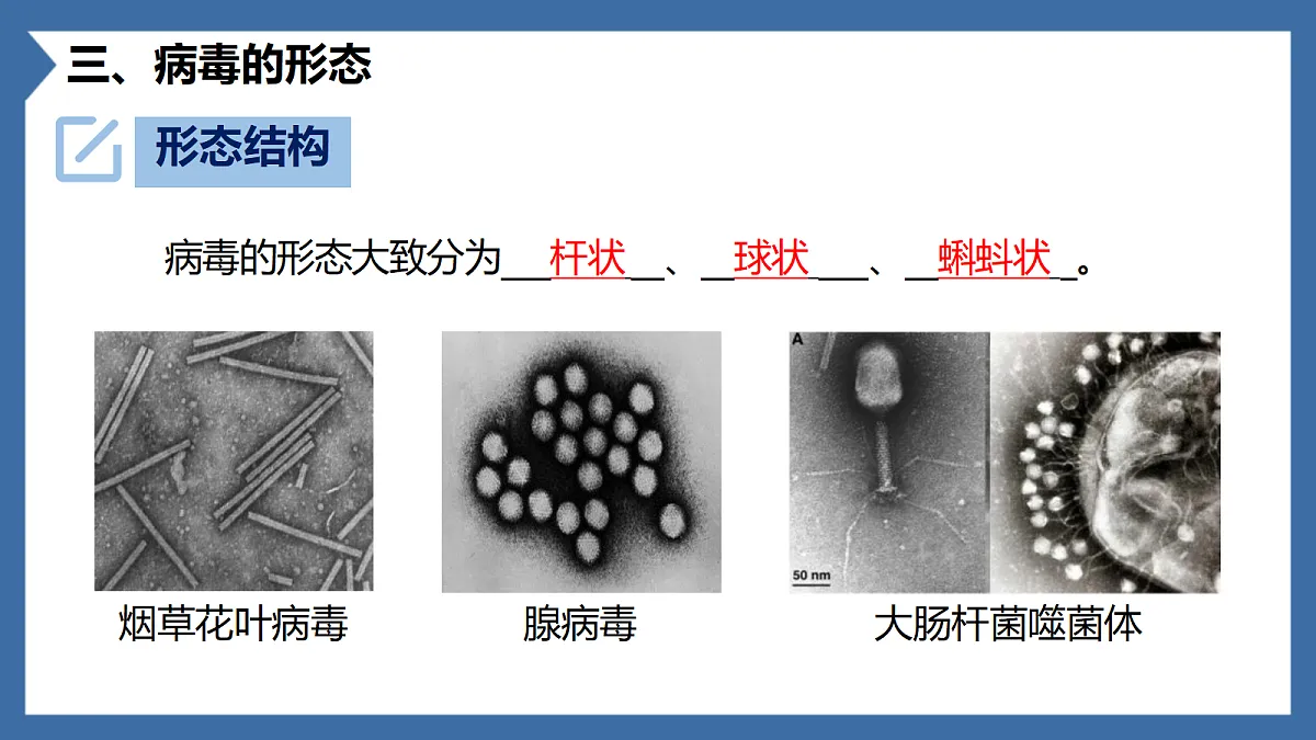 18206502第7页