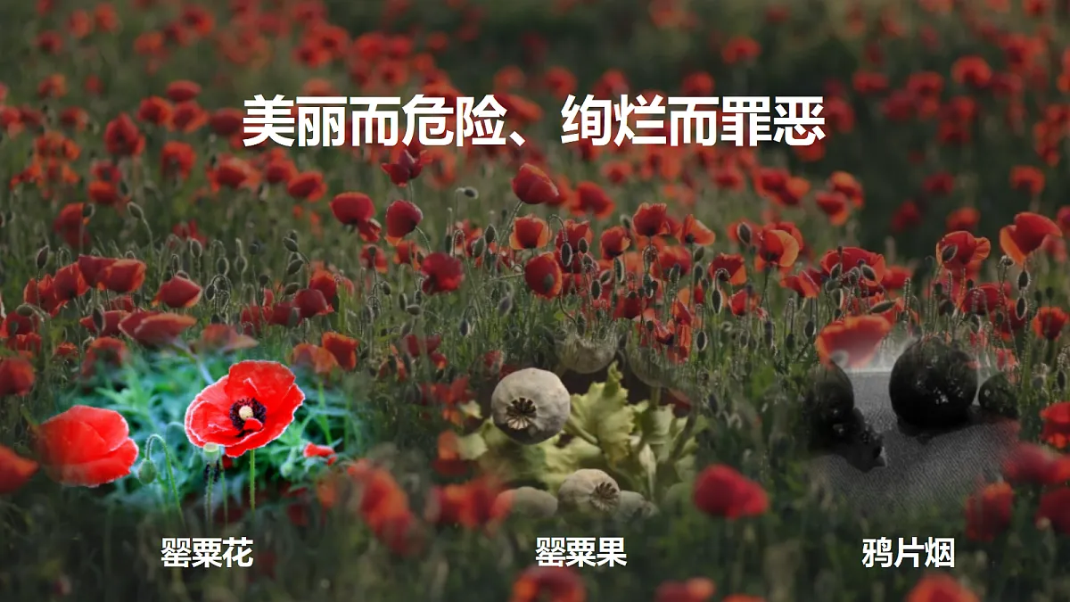 18206535第1页