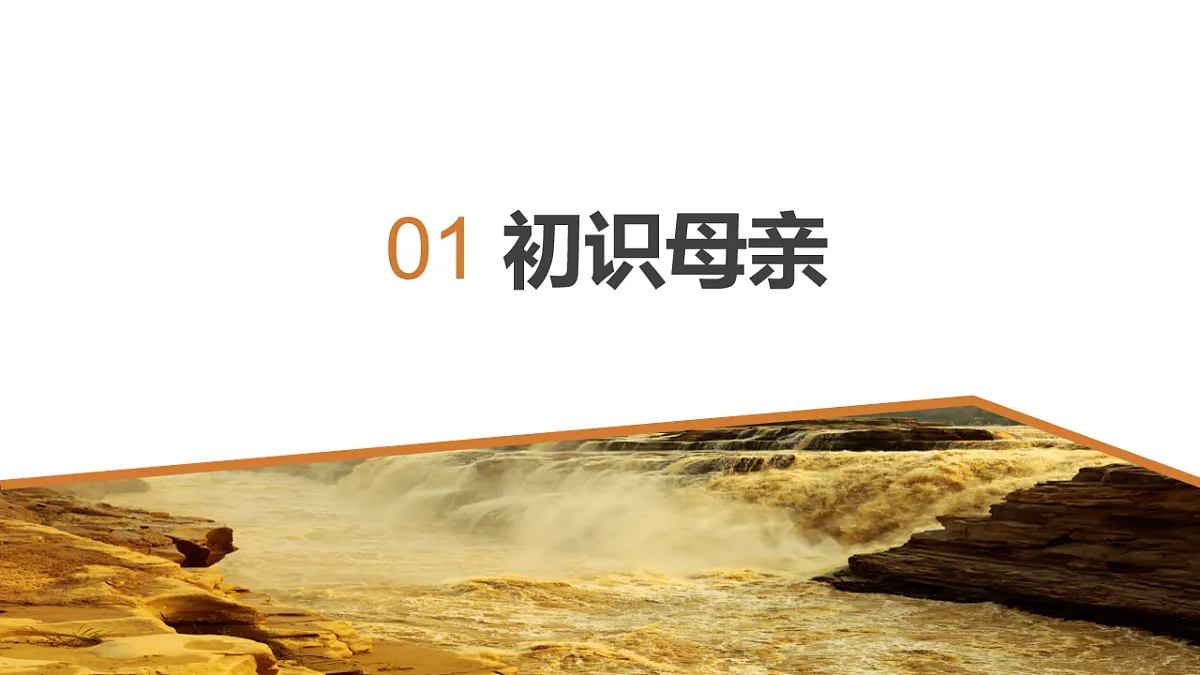 18206648第2页