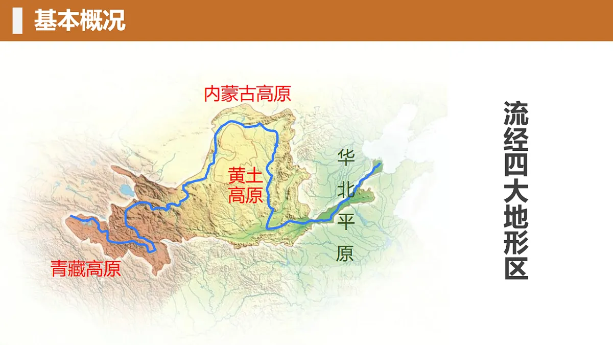 18206648第7页