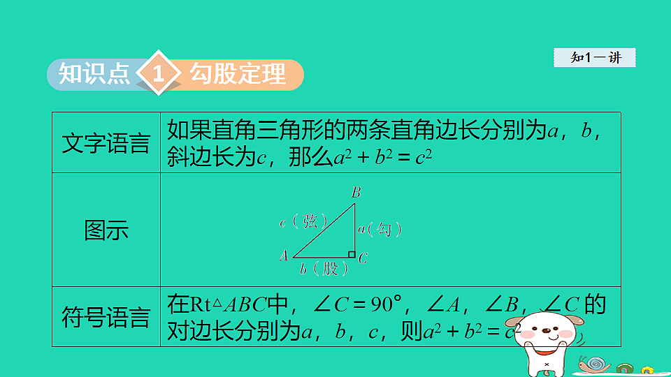 18206771第3页