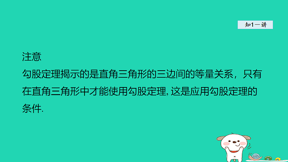 18206771第5页