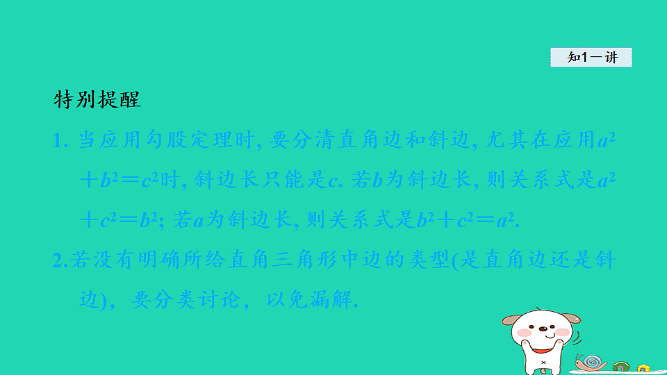 18206771第6页
