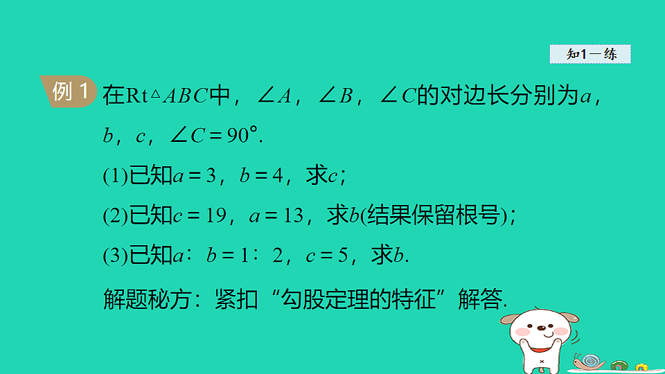 18206771第7页