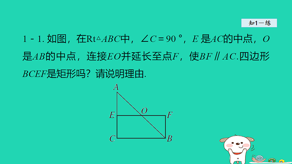 18206775第8页