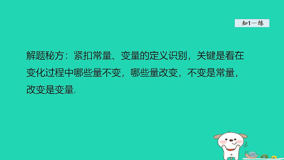 18206778第7页