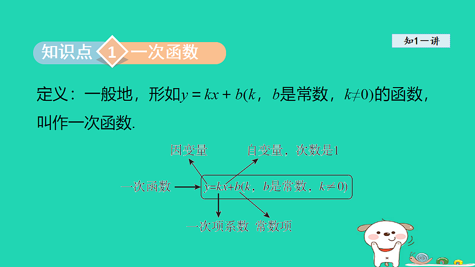 18206780第3页