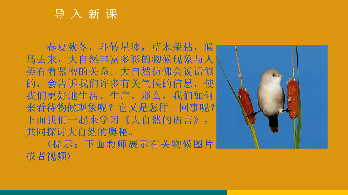 18208323第4页