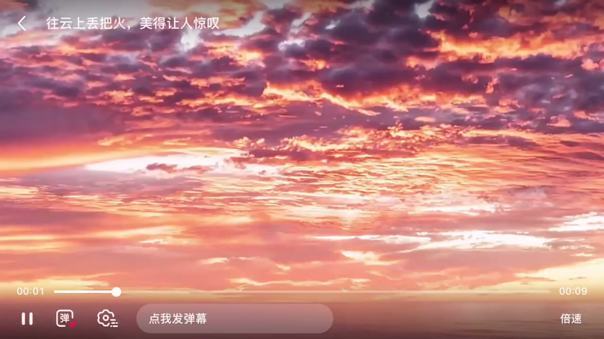 18208482第6页
