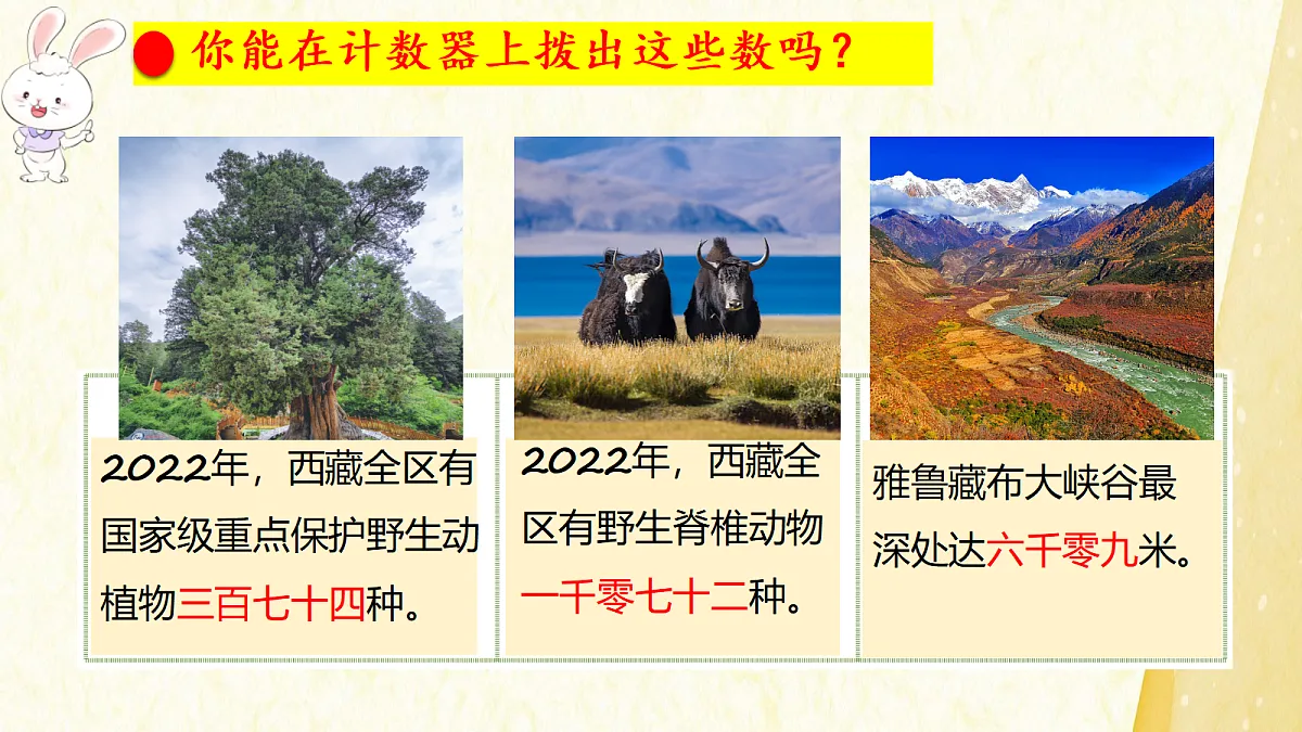 18208502第4页