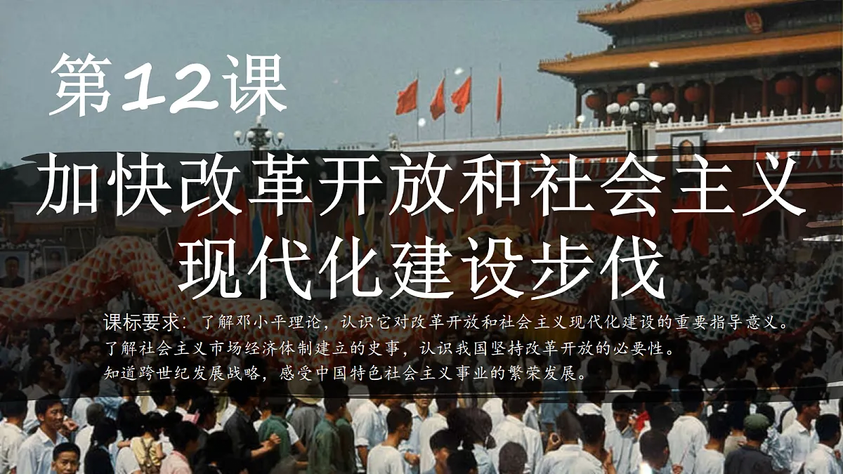 18208518第3页