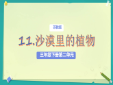 3.11 沙漠中的植物 课件（内嵌视频） 2025-2026学年科学三年级下册苏教版