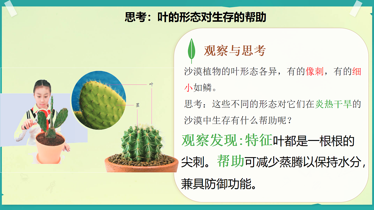 18208652第6页