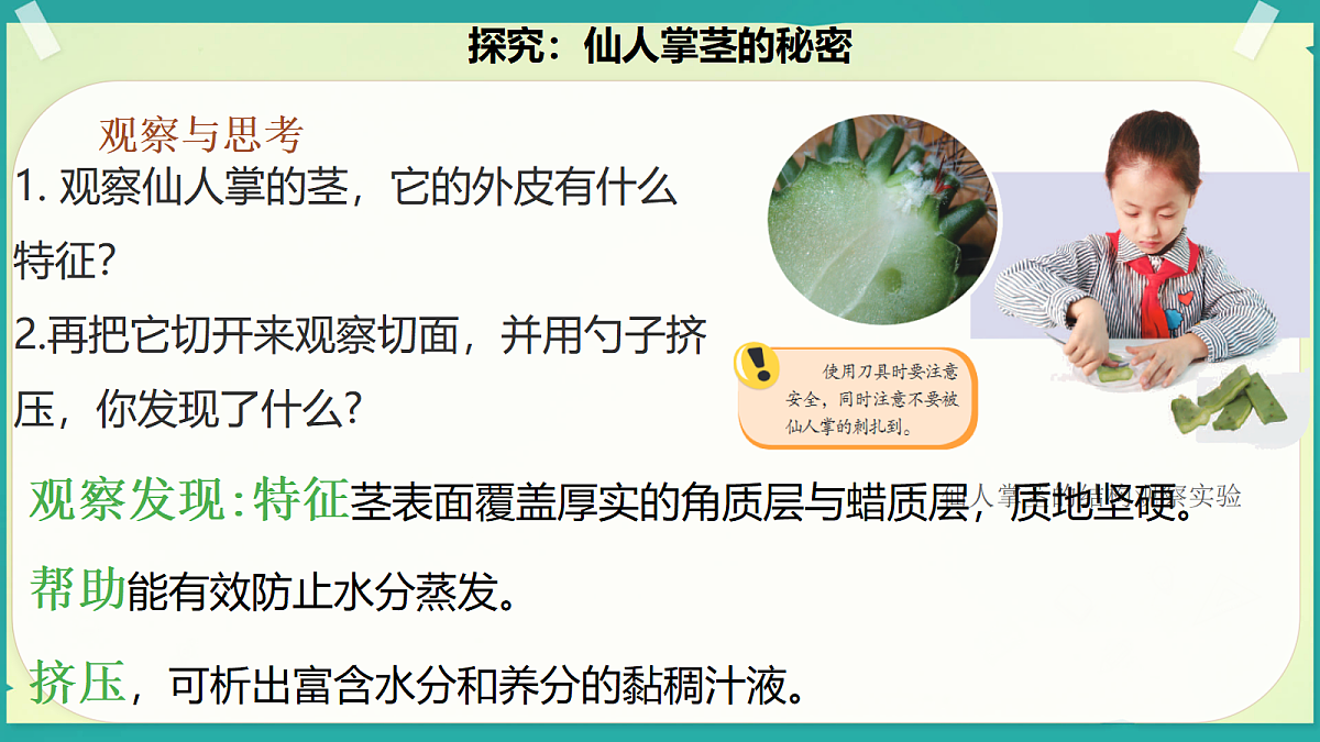 18208652第7页