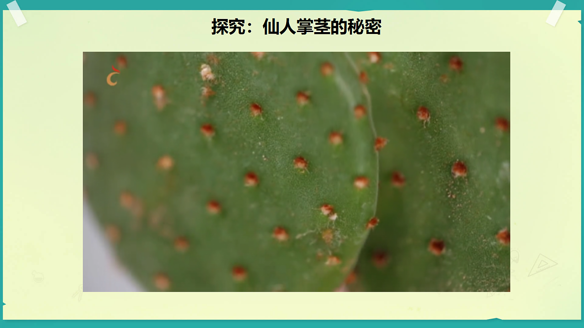 18208652第8页