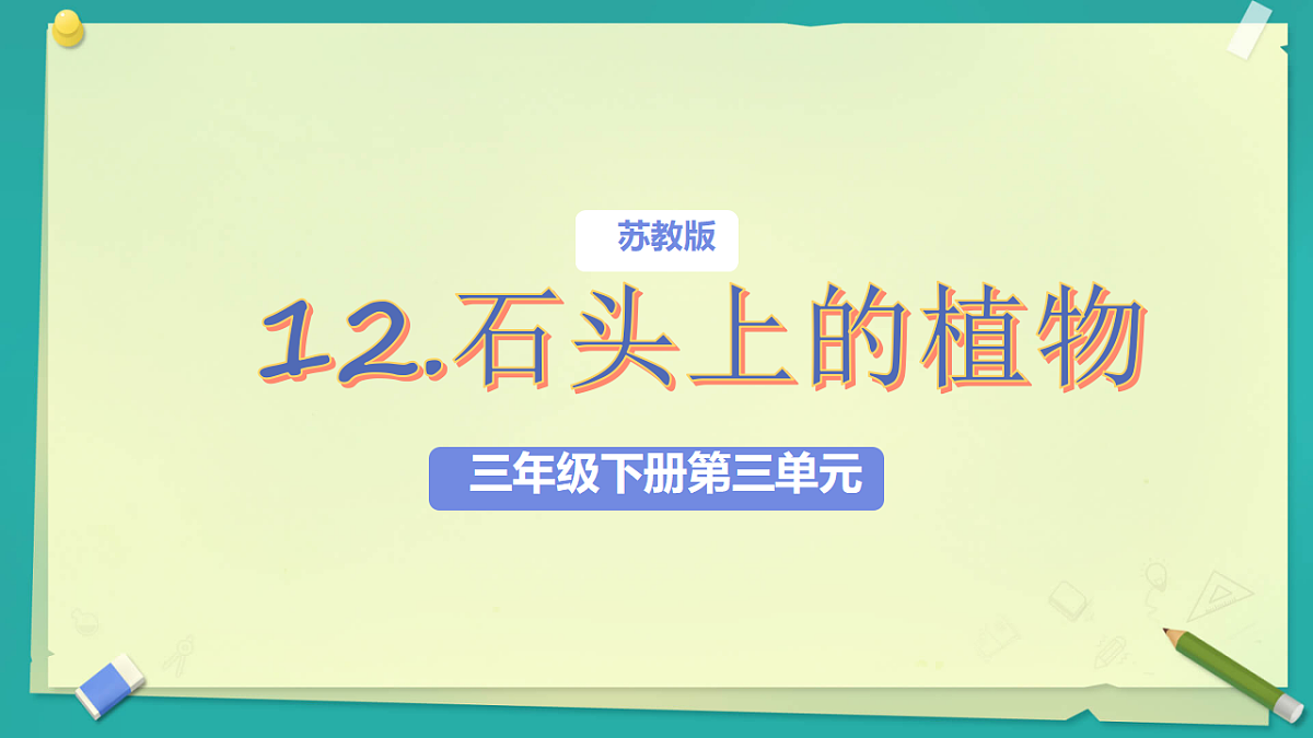 18208653第1页