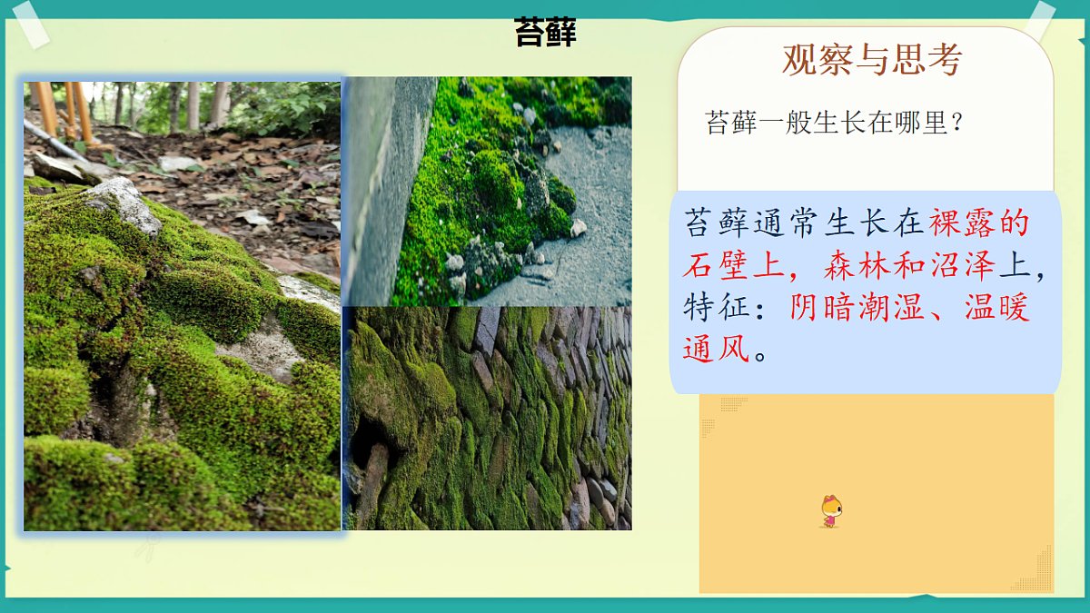 18208653第3页