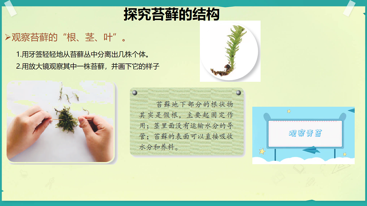 18208653第4页