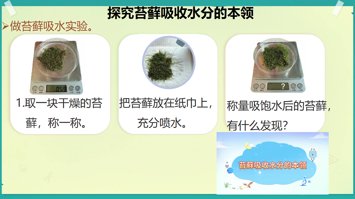 18208653第5页