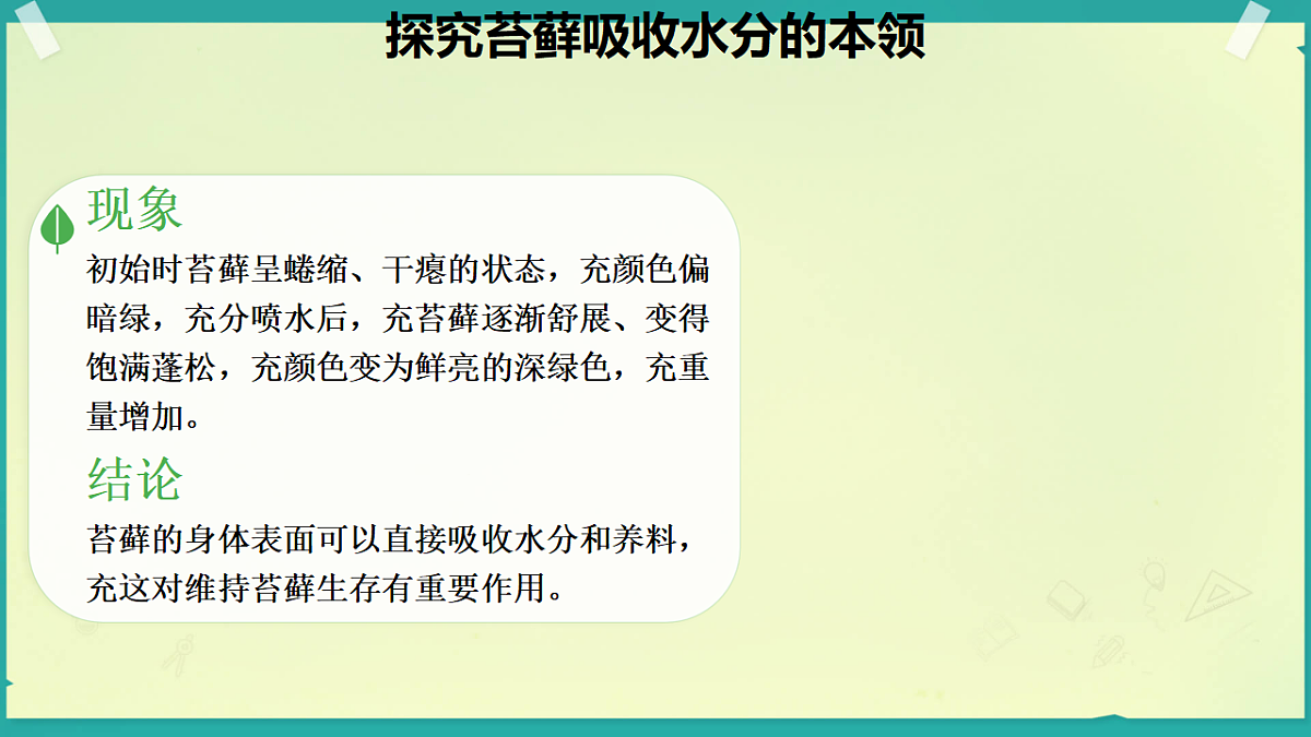 18208653第6页